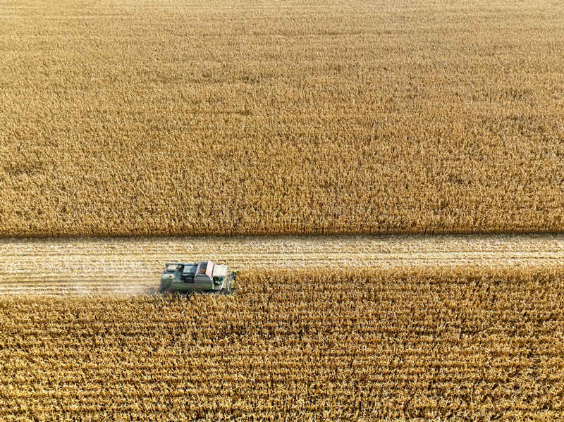 Serveis per l'agricultor de collita de cereals.